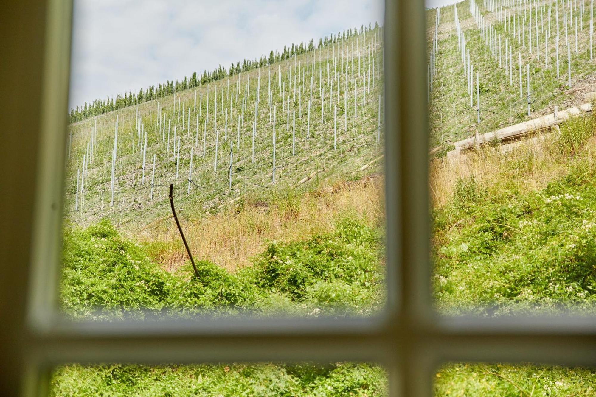 Ferienhaus Alte Muehle Bernkastel-Kues Eksteriør bilde